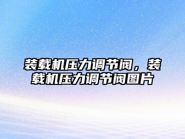 裝載機壓力調節(jié)閥，裝載機壓力調節(jié)閥圖片