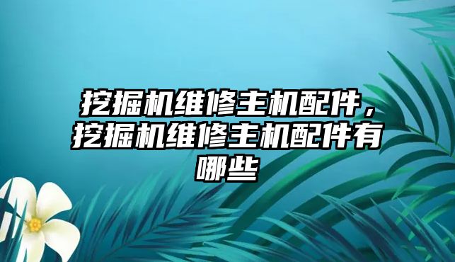 挖掘機維修主機配件，挖掘機維修主機配件有哪些