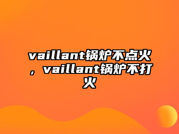 vaillant鍋爐不點(diǎn)火，vaillant鍋爐不打火