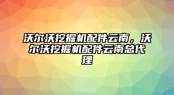 沃爾沃挖掘機配件云南，沃爾沃挖掘機配件云南總代理