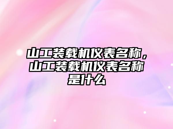 山工裝載機儀表名稱，山工裝載機儀表名稱是什么