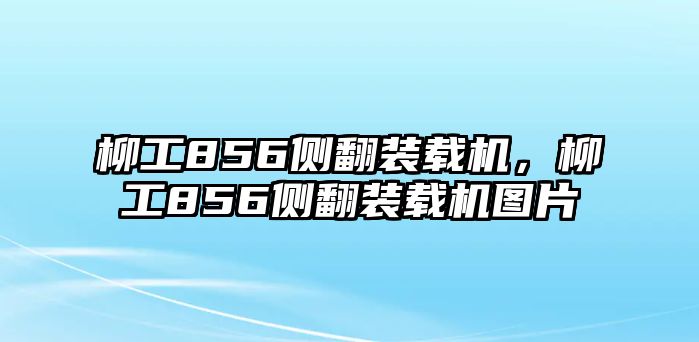 柳工856側(cè)翻裝載機，柳工856側(cè)翻裝載機圖片