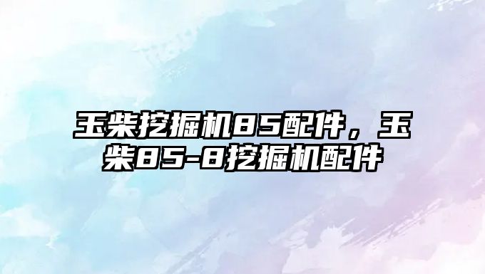 玉柴挖掘機85配件，玉柴85-8挖掘機配件