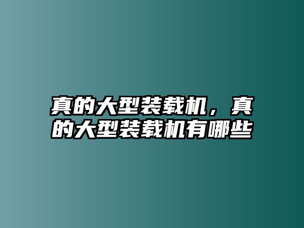 真的大型裝載機，真的大型裝載機有哪些