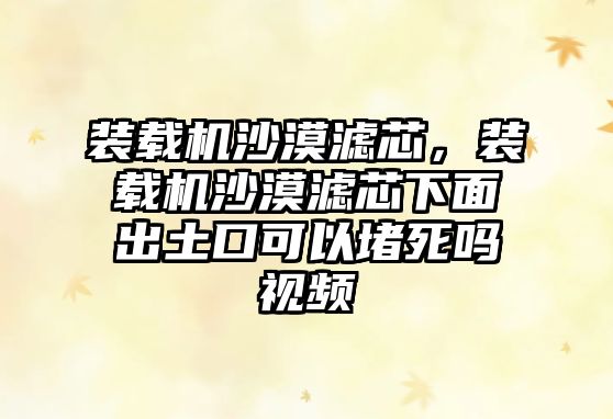 裝載機(jī)沙漠濾芯，裝載機(jī)沙漠濾芯下面出土口可以堵死嗎視頻