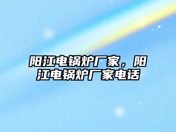 陽江電鍋爐廠家，陽江電鍋爐廠家電話