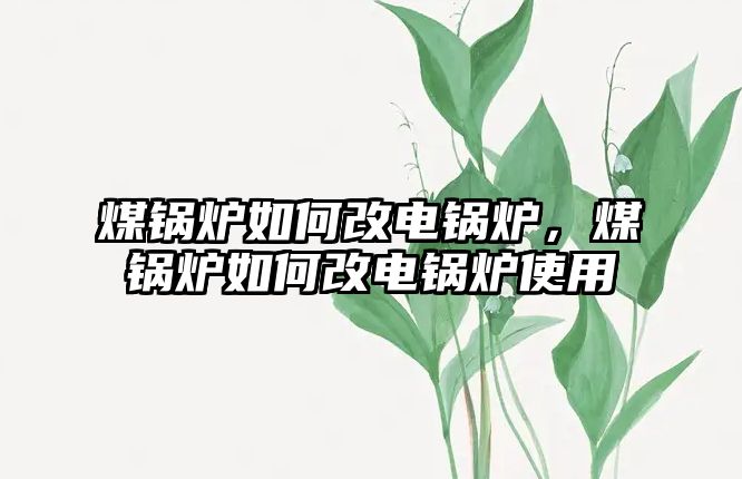 煤鍋爐如何改電鍋爐，煤鍋爐如何改電鍋爐使用