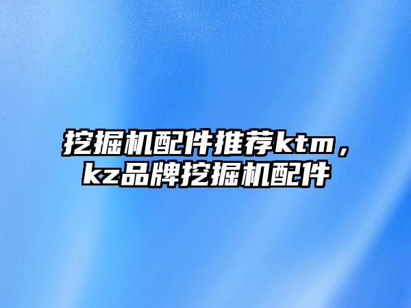 挖掘機配件推薦ktm，kz品牌挖掘機配件