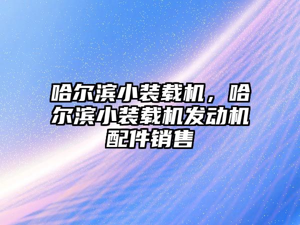 哈爾濱小裝載機，哈爾濱小裝載機發(fā)動機配件銷售