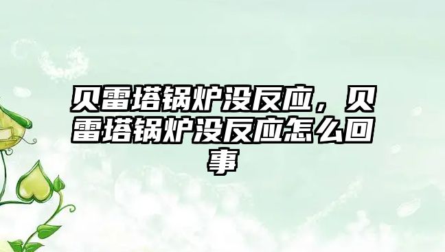 貝雷塔鍋爐沒反應，貝雷塔鍋爐沒反應怎么回事