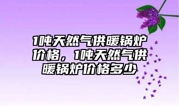 1噸天然氣供暖鍋爐價格，1噸天然氣供暖鍋爐價格多少