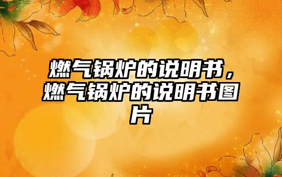 燃?xì)忮仩t的說明書，燃?xì)忮仩t的說明書圖片