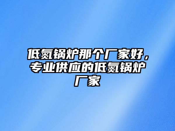 低氮鍋爐那個廠家好，專業(yè)供應(yīng)的低氮鍋爐廠家