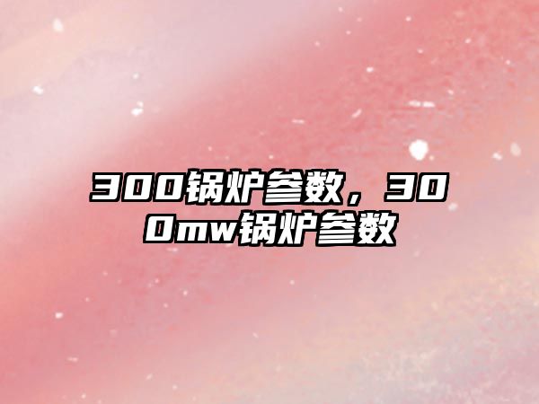 300鍋爐參數(shù)，300mw鍋爐參數(shù)