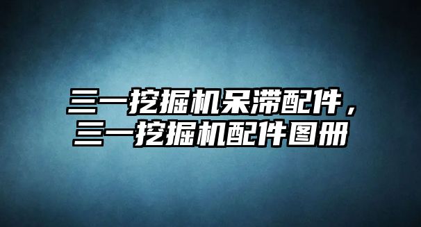 三一挖掘機呆滯配件，三一挖掘機配件圖冊