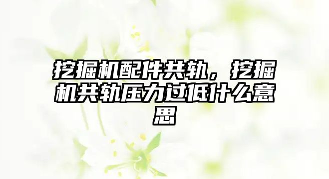 挖掘機配件共軌，挖掘機共軌壓力過低什么意思