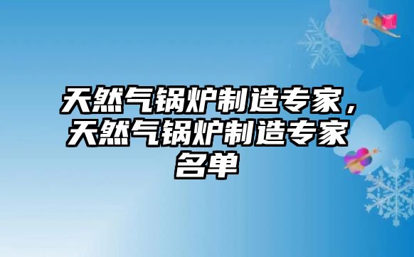 天然氣鍋爐制造專家，天然氣鍋爐制造專家名單