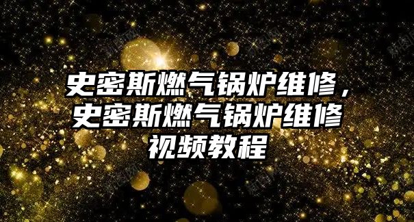 史密斯燃?xì)忮仩t維修，史密斯燃?xì)忮仩t維修視頻教程