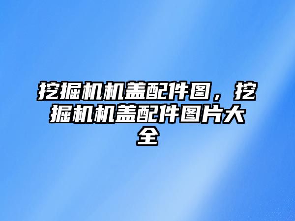 挖掘機機蓋配件圖，挖掘機機蓋配件圖片大全