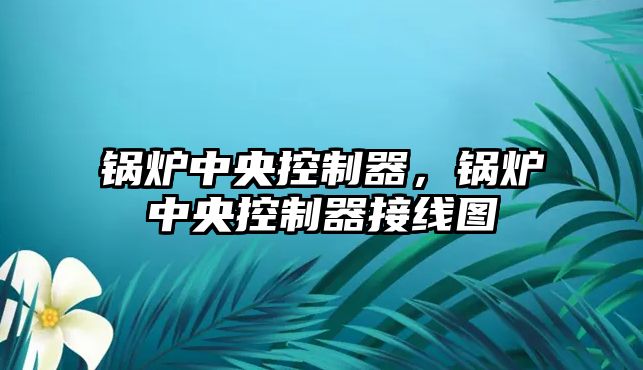 鍋爐中央控制器，鍋爐中央控制器接線圖