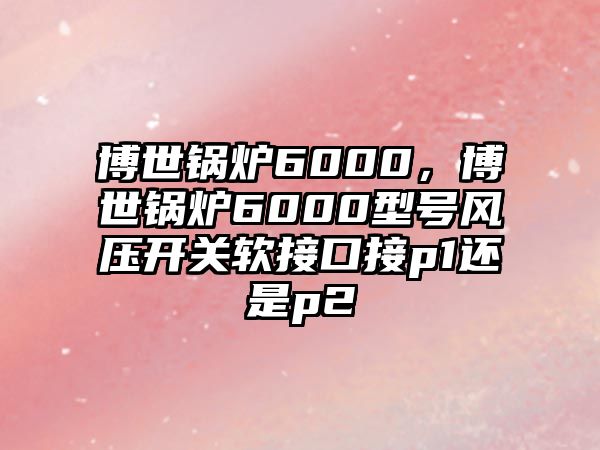 博世鍋爐6000，博世鍋爐6000型號風壓開關軟接口接p1還是p2