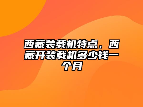 西藏裝載機特點，西藏開裝載機多少錢一個月