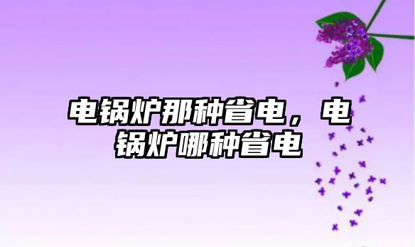 電鍋爐那種省電，電鍋爐哪種省電