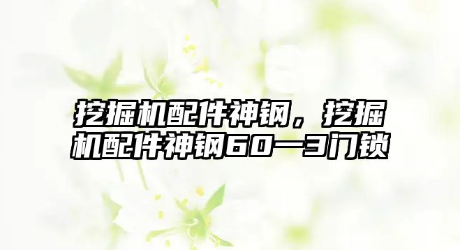 挖掘機(jī)配件神鋼，挖掘機(jī)配件神鋼60一3門鎖