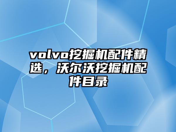 volvo挖掘機配件精選，沃爾沃挖掘機配件目錄