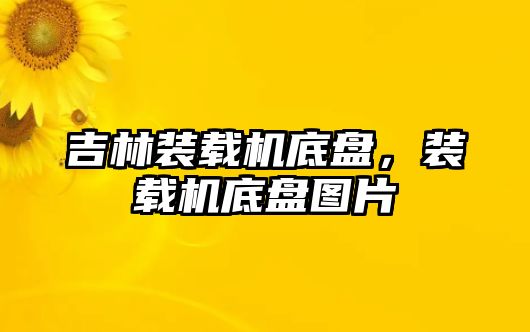 吉林裝載機底盤，裝載機底盤圖片