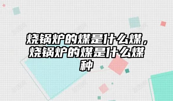 燒鍋爐的煤是什么煤，燒鍋爐的煤是什么煤種