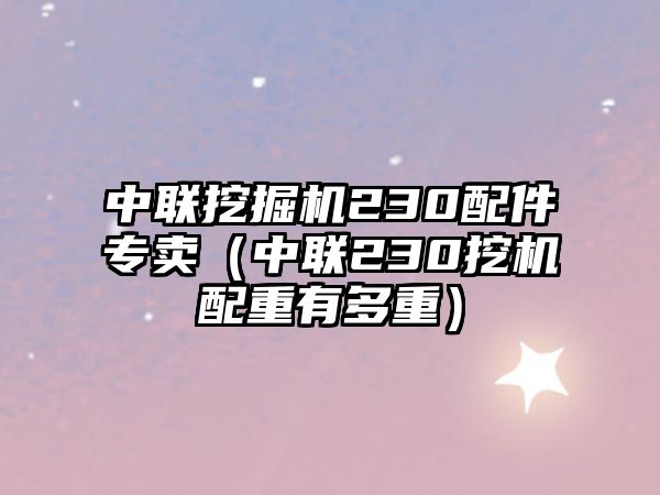 中聯(lián)挖掘機(jī)230配件專賣（中聯(lián)230挖機(jī)配重有多重）