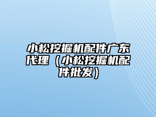 小松挖掘機配件廣東代理（小松挖掘機配件批發(fā)）