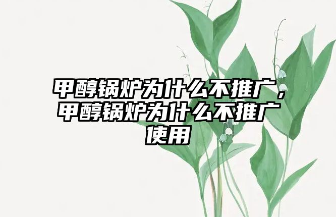 甲醇鍋爐為什么不推廣，甲醇鍋爐為什么不推廣使用