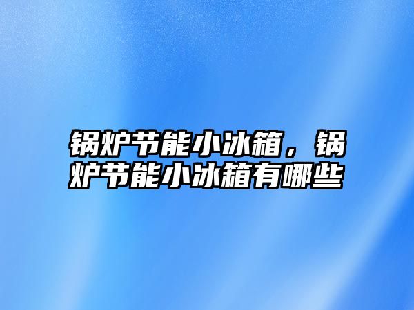 鍋爐節(jié)能小冰箱，鍋爐節(jié)能小冰箱有哪些