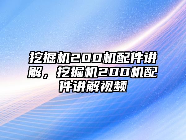 挖掘機(jī)200機(jī)配件講解，挖掘機(jī)200機(jī)配件講解視頻