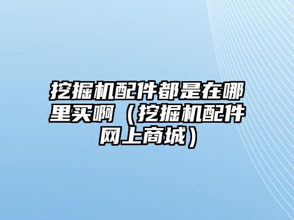 挖掘機配件都是在哪里買?。ㄍ诰驒C配件網(wǎng)上商城）