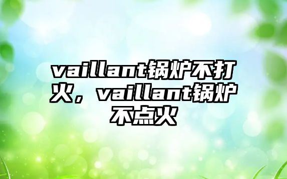 vaillant鍋爐不打火，vaillant鍋爐不點火