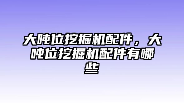 大噸位挖掘機(jī)配件，大噸位挖掘機(jī)配件有哪些