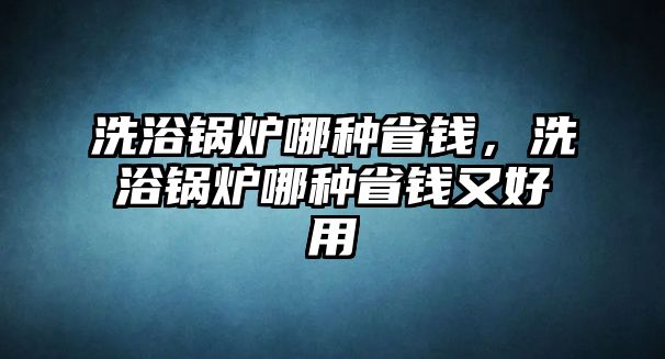 洗浴鍋爐哪種省錢，洗浴鍋爐哪種省錢又好用