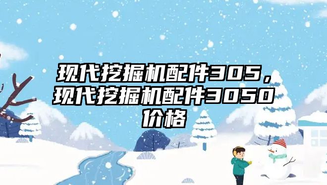 現(xiàn)代挖掘機配件305，現(xiàn)代挖掘機配件3050價格