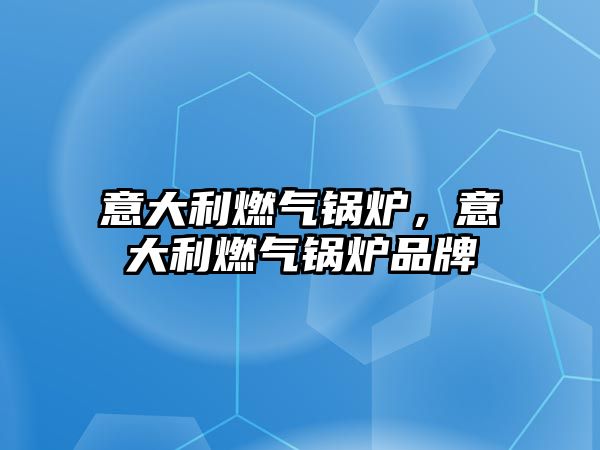 意大利燃?xì)忮仩t，意大利燃?xì)忮仩t品牌