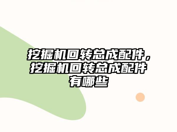 挖掘機回轉(zhuǎn)總成配件，挖掘機回轉(zhuǎn)總成配件有哪些