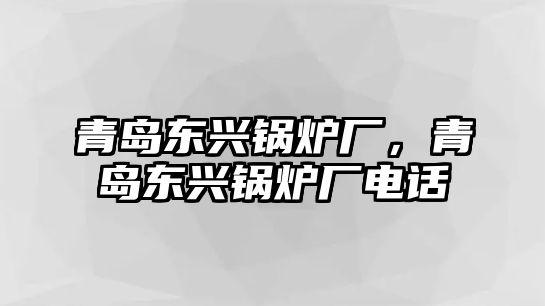 青島東興鍋爐廠，青島東興鍋爐廠電話