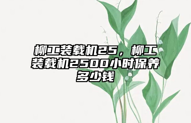 柳工裝載機(jī)25，柳工裝載機(jī)2500小時(shí)保養(yǎng)多少錢