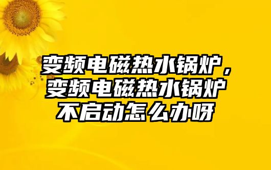 變頻電磁熱水鍋爐，變頻電磁熱水鍋爐不啟動(dòng)怎么辦呀