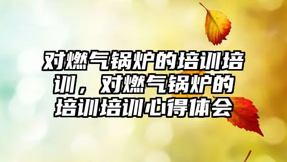 對燃?xì)忮仩t的培訓(xùn)培訓(xùn)，對燃?xì)忮仩t的培訓(xùn)培訓(xùn)心得體會