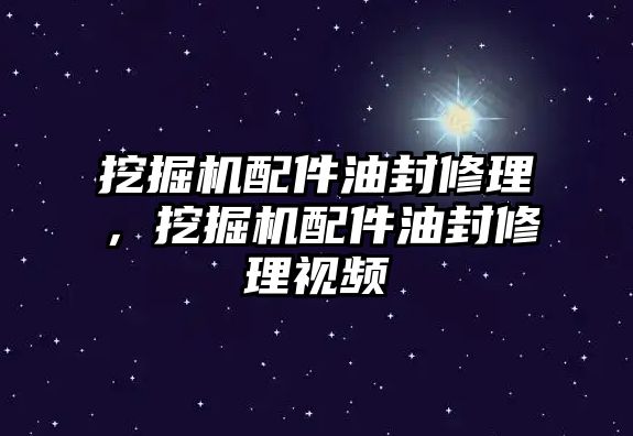 挖掘機(jī)配件油封修理，挖掘機(jī)配件油封修理視頻