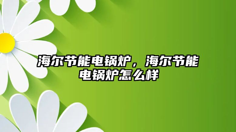 海爾節(jié)能電鍋爐，海爾節(jié)能電鍋爐怎么樣