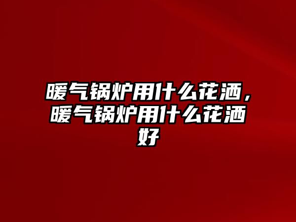 暖氣鍋爐用什么花灑，暖氣鍋爐用什么花灑好